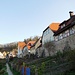 Unterhalb der Stadtmauer Löwenstein