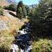 Noch ein Bach, Waterfall Creek.