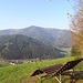 Ausblick am Gummeneck in das Tal und Richtung Kandelgebiet