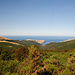 Blick vom Browntop Saddle zum Meer