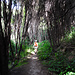 Auf dem Woodills Track