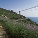 Der schöne Fußweg über dem Meer von Chiessi nach Pomonte / La bella passeggiata sopra il mare tra Chiessi e Pomonte.