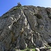 Die steile Seilversicherung, um ganz auf den Gipfel klettern zu können / Le corde verticali per raggiungere la vera cima del San Bartolomeo