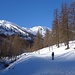 Lärchenwälder nach All'Acqua