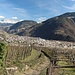beste Blick im Abstieg nach Bolzano