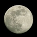 Der ganze elbanische Mond:-) / L`intera luna elbana:-)