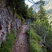 Gut versicherter Abstieg durch den Gemstelbach-Tobel: links ein Seil, rechts ebenfalls eine Versicherung am jähen Abgrund.