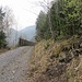 Die Straße nach Meschach haben wir überquert und sind jetzt 100 m weiter im Bannwald auf einem Forstweg. Zum Kapfweg geht es an dieser Stelle rechts hoch