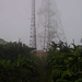 Den Antennegipfel auf den der offizielle Wanderweg leitet, lies ich zunächst rechterhand liegen um zuerst den höchsten Punkt des Mount Scenery zu besuchen.