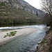 eine der vielen Kiesbänke im Tarn