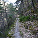Wanderweg