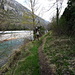 der Wanderweg führt nah am Ufer des Tarn entlang