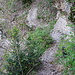 Wanderweg