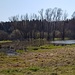 Nochmal der Teich, er befindet sich noch in Sachsen zwischen dem einstigen Zaun und der eigentlichen Grenze