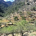 Paysage typique de la Sierra de Tramuntana, la veille dans la descente du monastère de Lluc. 
