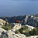 Chèvres sauvages - elles sont en fait aujourd'hui devenues un fléau... 