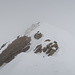 mein Skidepot war am Anfang der Felsen, nun geht es ohne Skis rechts neben den Felsen hinauf zum Gipfel, der Gipfel ist von hier aus noch nicht in Sichtweite.