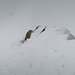 beim Abstieg kurz vor dem Ski Depot