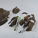 Ski Depot