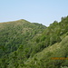 antecima Bolettone