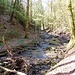Unterwegs zum hinteren Hörschbachwasserfall