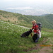 Pinuccia e Billie fra i narcisi