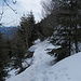 Schneeparcours in der Nordflanke der Honegg