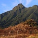 Schon nach wenigen Minuten wandern präsentierte sich der Mount Liamuiga wolkenlos. Der zur Zeit ruhende Volkan und höchste Berg von Sankt Kitts und Nevis ist an seinen Hängen mit einem dichten Regenwald bewachsen, in höheren Regionen von Bergnebelwald.