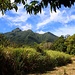 Rückblick unter Mangobäumen auf den Mount Liamuiga (1156m) mit seinem undurchdringlichen Regenwaldgürtel.