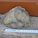 So sieht also das "Knollen"-Gestein aus, das dem Berg seinen Namen gab.