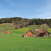 zauberhaftes Appenzellerland, von hier aus geht es hinauf zum Wald