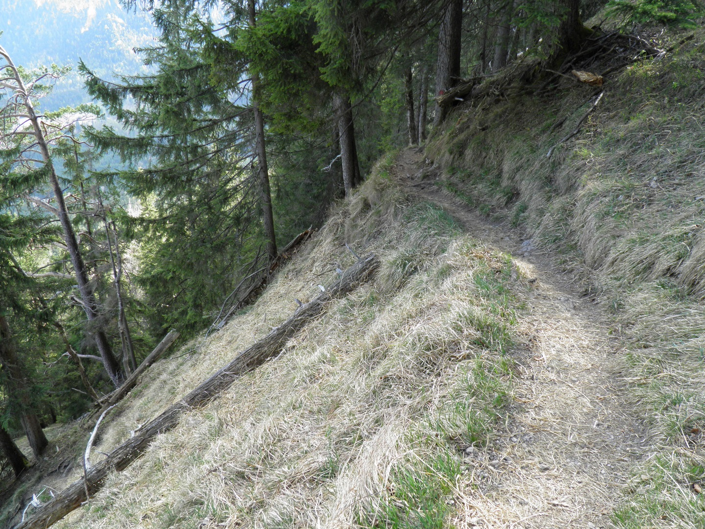 der gute, aber teils ordentlich ausgesetzte Weg im...