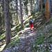 Talweg Richtung Hoher Kasten