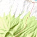 Route vom höchsten Punkt vom Mount Liamouiga (1156m). Im Jahr 2017 war sie im Frühjahr begehbar, inzwischen (Stand März 2019) völlig vom Regenwald zugewachsen und unbegehbar. Ich schaffte es nur bis zu einer Höhe von etwa 400m.