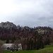 Panorama etwas unterhalb des Oberen Brüggli. 