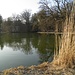im Nymphenburger Schlosspark am Pagodenburger See