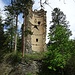Neu Sins, die einzige Ruine mit Rundturm im Domleschg, hier Ansicht aus Südwest