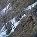 Leider muss man auch am Rückweg wieder durch die unschöne Waldstufe.