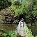 Anfangs ein perfekt inszenierter Walkway