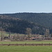 Môtiers. 