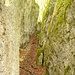 Cañon beim Klettergebiet Bo(h)r(o)wa(h)n