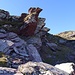 überaus gefällige Landschaft - vor Erreichen der ...