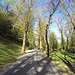 <b>Raggiungo Bedigliora con un giro antiorario del monte. </b>