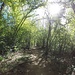 <b>Mi resta l’ultima parte, una tranquilla pedalata di mezz’ora, nel bosco golenale della Tresa.</b>