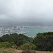 Blick vom Mount Victoria auf Wellington, wettermäßig ist noch Luft nach oben.
