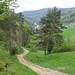 Strässlein oberhalb Zwischenflüe.