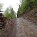 Auf 760m wird ein Forstweg überquert.