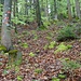 Nächster Grenzstein und nächste Markierungen.