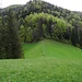 Hinunter zum Örli, dem Grasssattel in der Bildmitte, danach hinauf zum Geissrain.