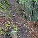 Etwas flacher geht's ab hier die Flanke hinauf. Das Foto vom unteren steilen Abschnitt mit den erneuerten Treppenstufen ist leider unscharf geworden.